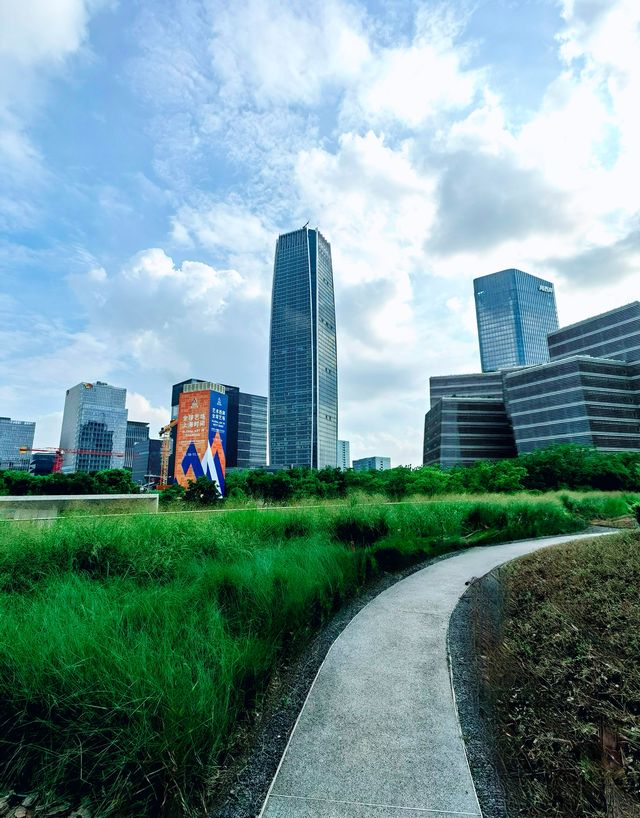 在西岸，看黃浦江兩岸現代新貌