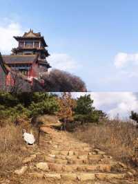 青龍山