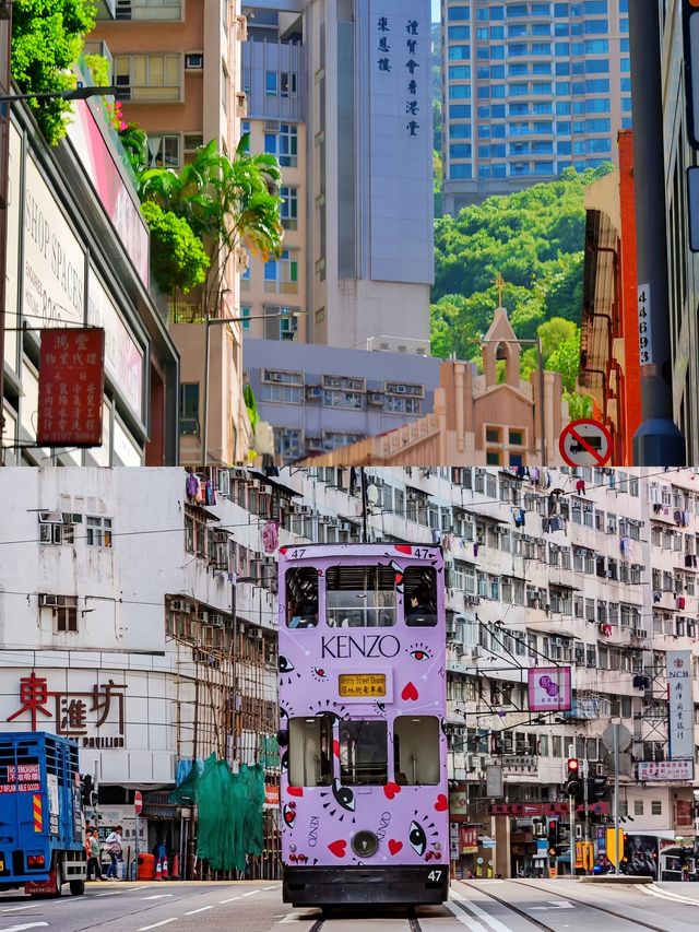 離開香港的後勁兒真的好大！