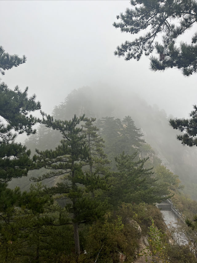 北武當｜三晉第一名山，登天梯需勇氣+體力