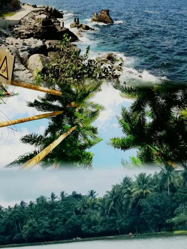 ศูนย์พืชเขตร้อนชิงหลงและหมู่บ้านบาหลี | ป่าฝนเขตร้อนและบรรยากาศทางใต้ของยาง