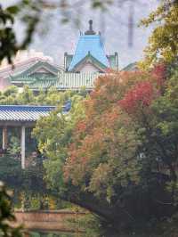 泡泡ooO 南溪山公園（大門）關注桂林|藏在市區裡的百花園香飄