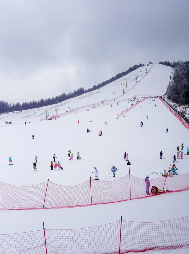 湖北人有自己的雪國冬遊神農架2天1夜攻略