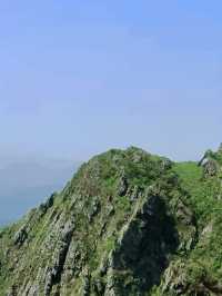 徒步九連山｜探索高山裡的秘密風景