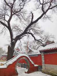 北京小眾賞雪地，不愧是京西小故宮