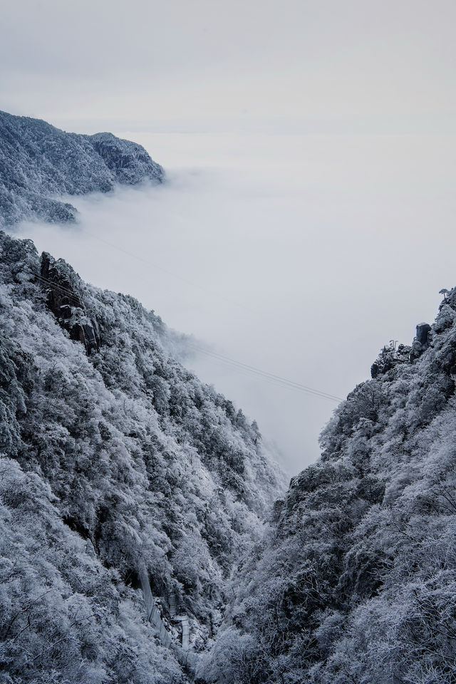 南方小土豆，被武功山雪景美翻