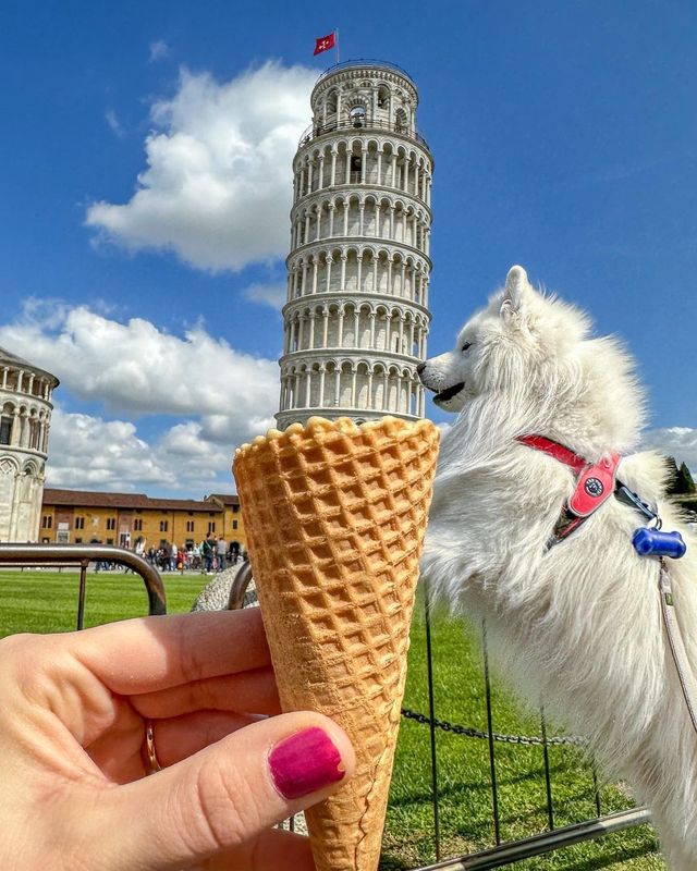 "Disappointing Ice Cream Experience! 😤 Don't Miss These Throwback Photos from Pisa! 📸 Happy Weekend Vibes! 😍