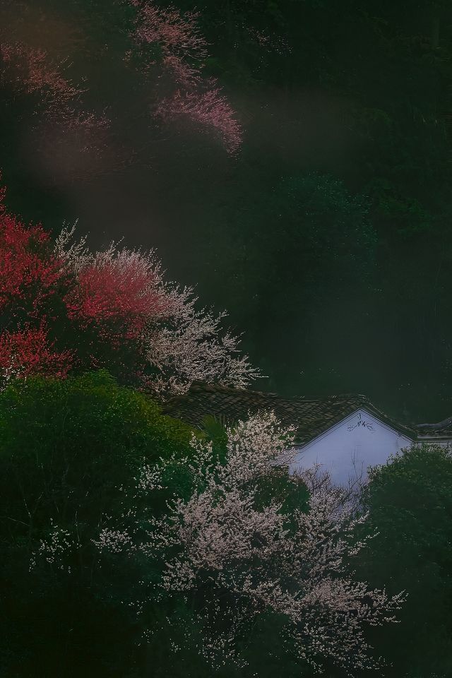 南京周邊|霧裡看花，這是仙人隱居的地方吧……