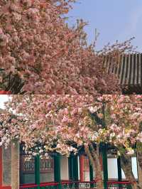 河北石家庄——榮國府