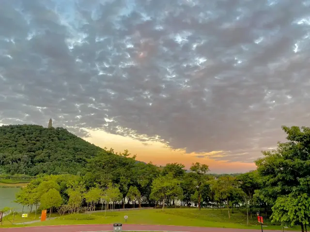 Shanghai Binjiang Forest Park | Sneak a peek at the sea