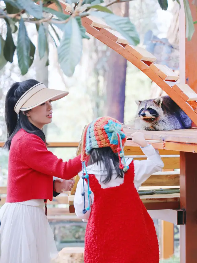 預算500 兩大一小雲南野生動物園親子遊攻略