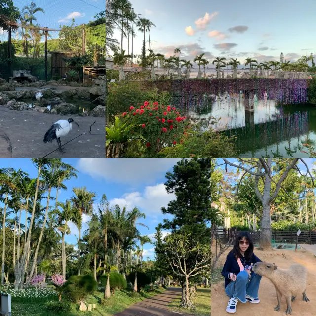 沖縄・東南植物楽園｜まるで童話のような緑のオアシスへの旅