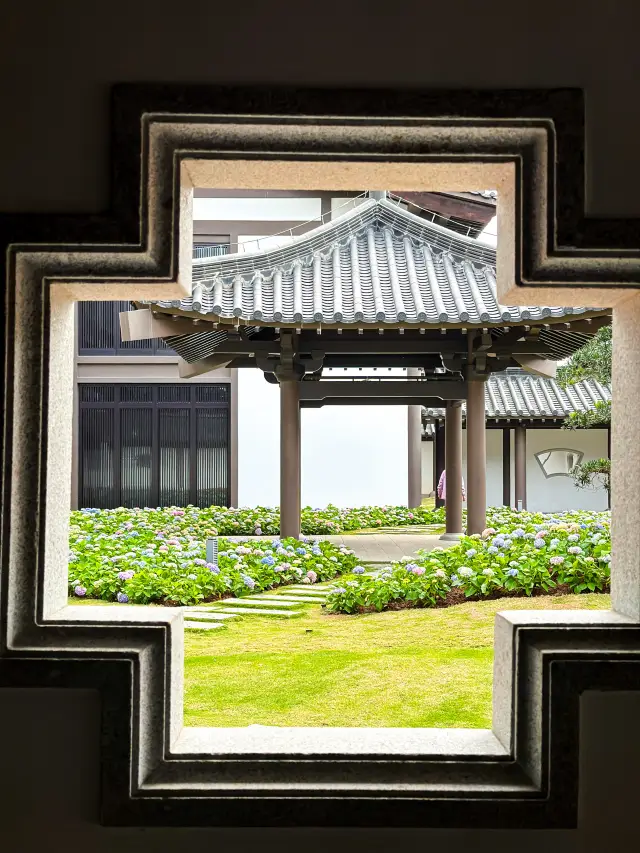 The hydrangea flowers in Guangzhou are blooming at the new pavilion of the Cultural Museum in March