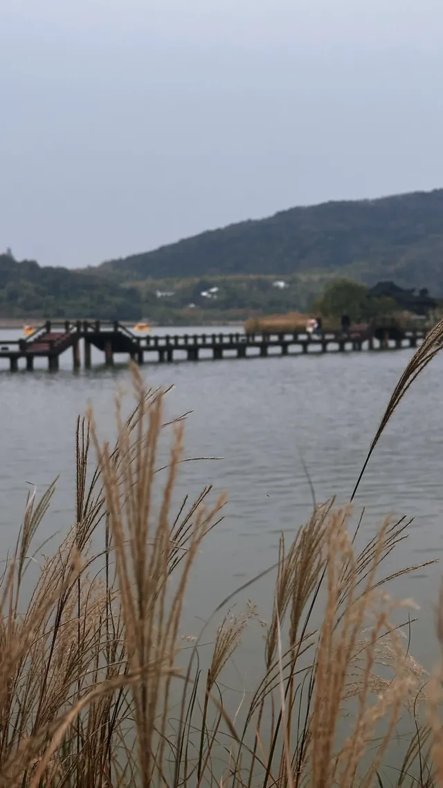 海鹽| 小眾景點綠色氧吧南北湖