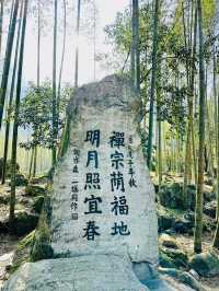 明月山上竹海裡的咏月碑林