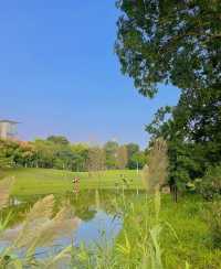 不在國外！在深圳香蜜湖公園也太浪漫了吧
