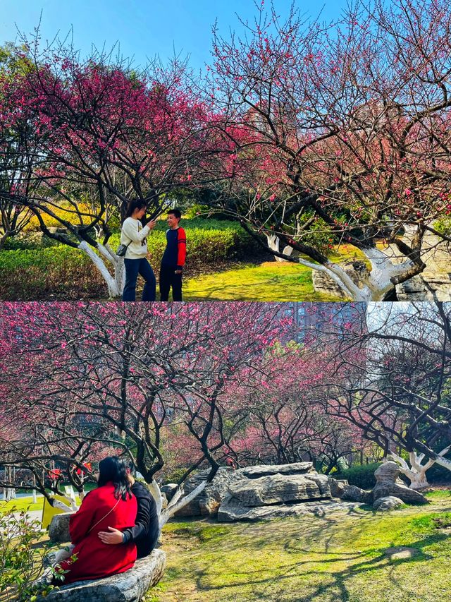 長沙｜小眾賞花踏青遊玩攻略—沙灣公園