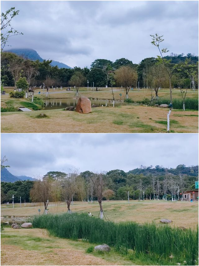 閩侯沙堤市民公園，人少景美超適合野餐露營放空自己