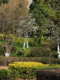 曲靖寥廓公園風景美