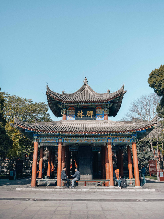 The Confucius Temple of the Tang Dynasty, now known as the Forest of Steles.