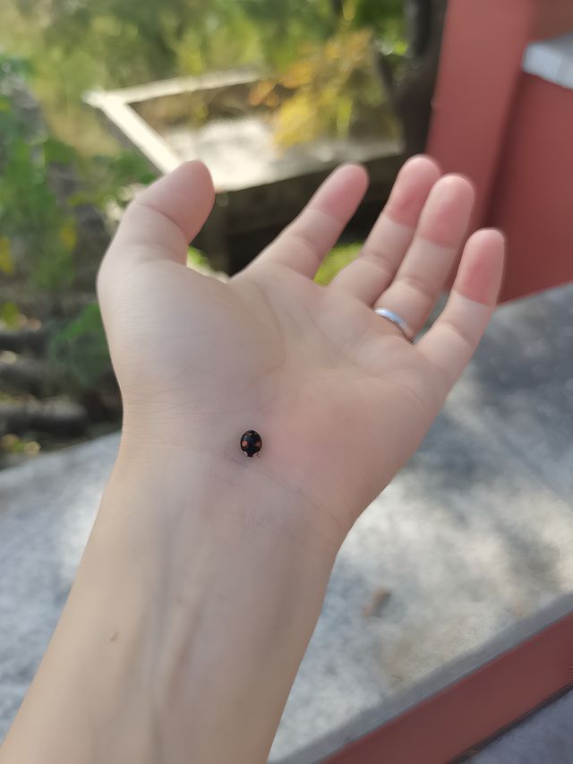 中國道教塔樓之最