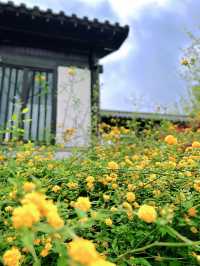 夏日避暑聖地，商丘漢梁文化公園遊玩全攻略