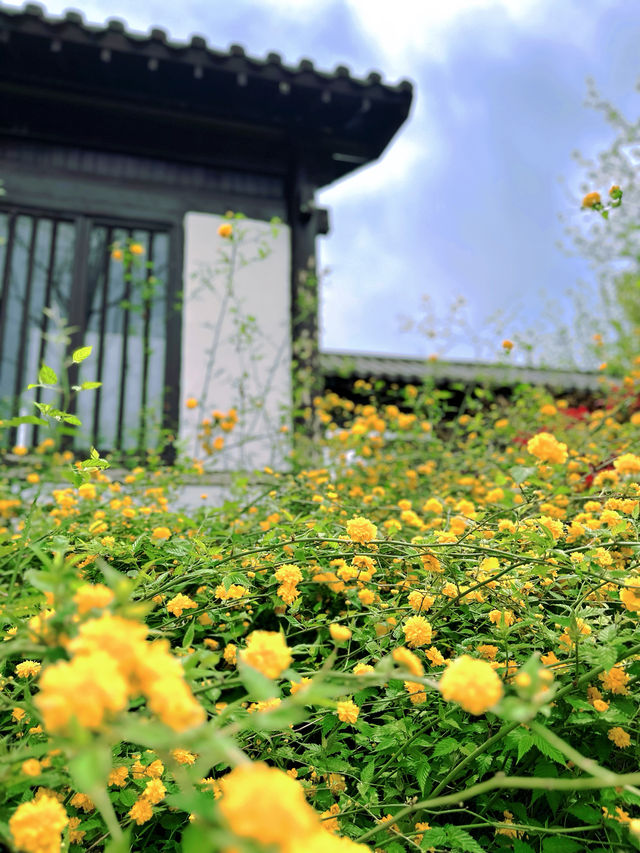 夏日避暑聖地，商丘漢梁文化公園遊玩全攻略