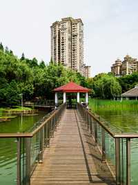 新虹橋中心花園，你玩得可真花啊