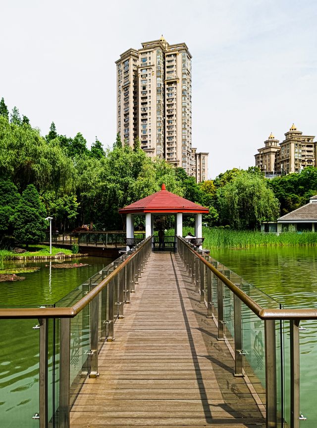 新虹橋中心花園，你玩得可真花啊