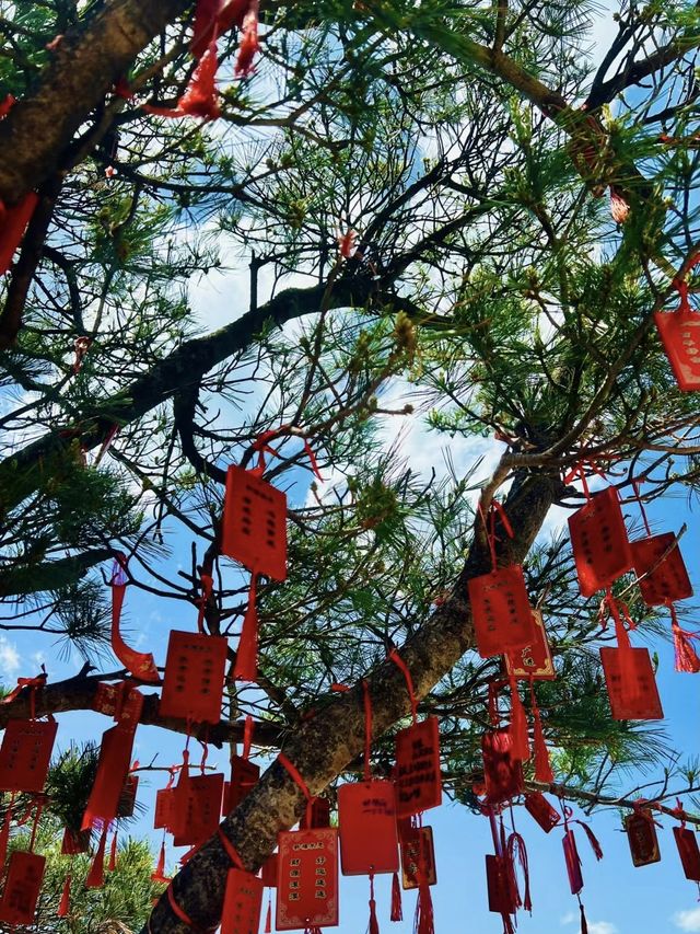 堯山---借得山間一兩風，清我俗世萬千愁