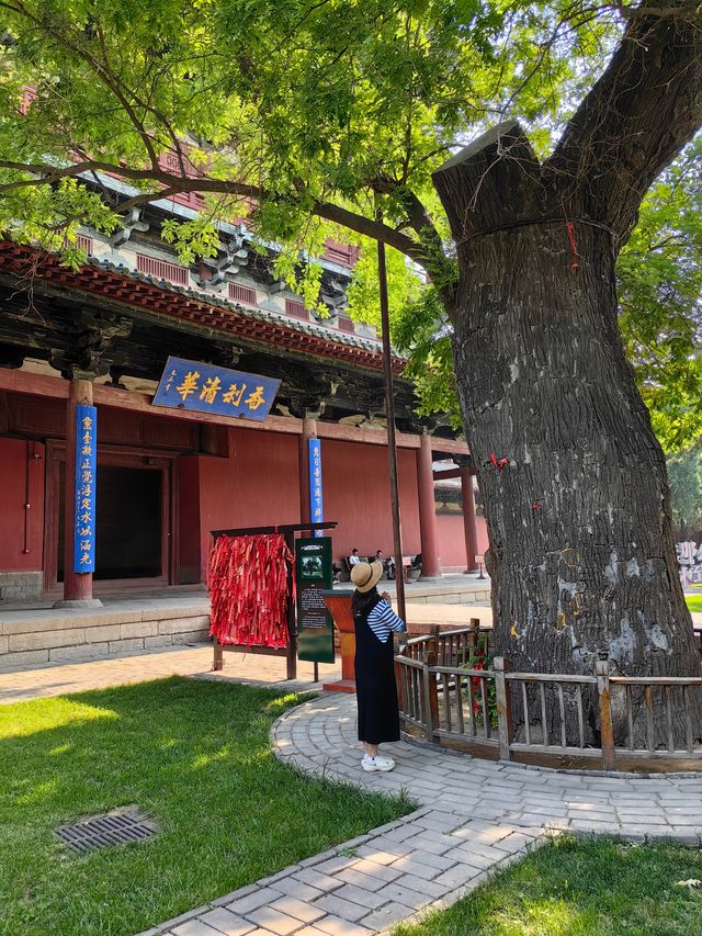保定-定州-石家庄之行