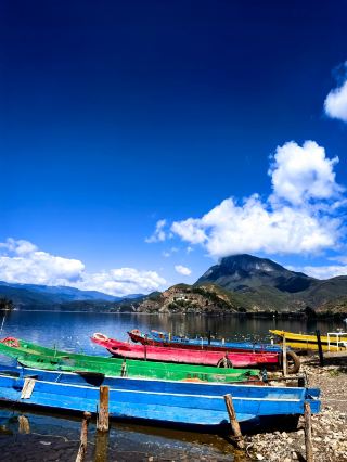 The water caltrops of Lugu Lake are in bloom