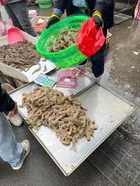 適合慢遊寶寶的青島攻略（三天兩夜）