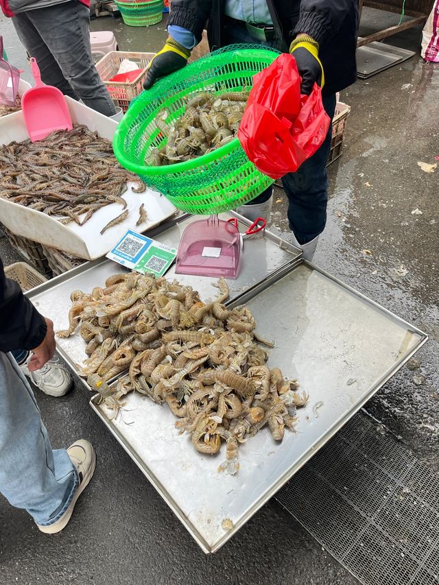 適合慢遊寶寶的青島攻略（三天兩夜）
