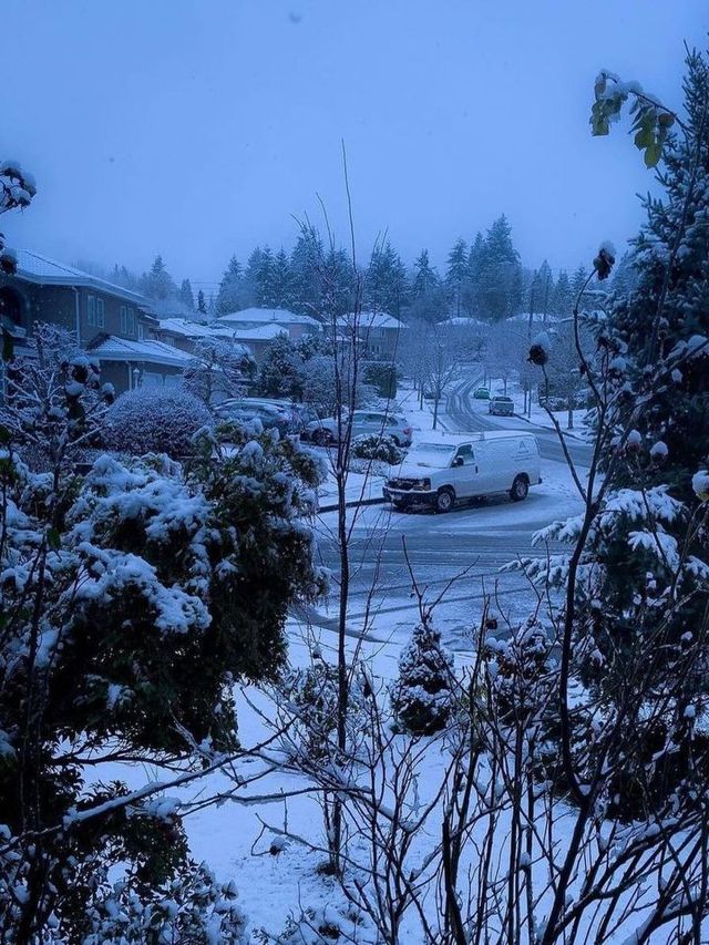 🌨️❄️ Vancouver: A Snowy Paradise Like No Other! 🌨️❄️