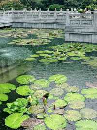 韶關雲門寺一日遊攻略，廣州出發，說走就走！