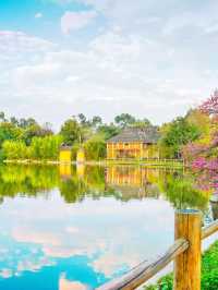 🌟 Kunming's Top Family-Friendly Attractions 🌈👨‍👩‍👧‍👦