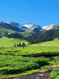 🌟 Xinjiang's Starry Delights & Natural Bliss 🏞️