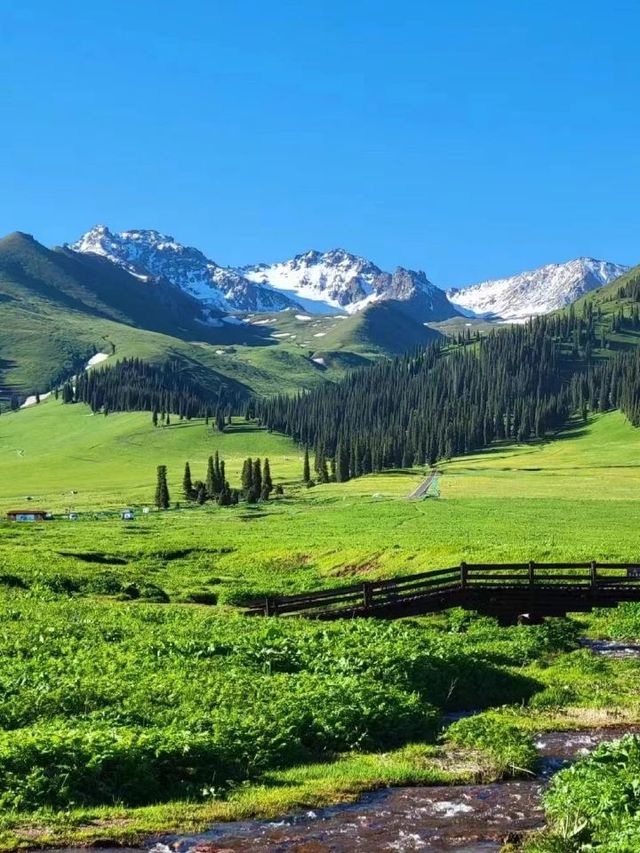 🌟 Xinjiang's Starry Delights & Natural Bliss 🏞️