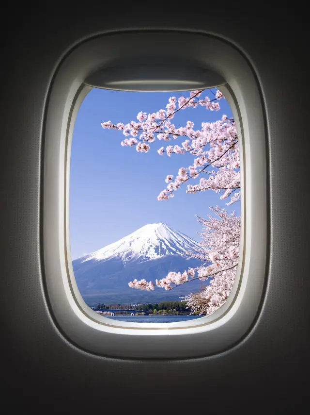 The Best Connoisseurs of Japanese Cherry Blossoms Follow the '100 Best Cherry Blossom Spots' for Viewing.
