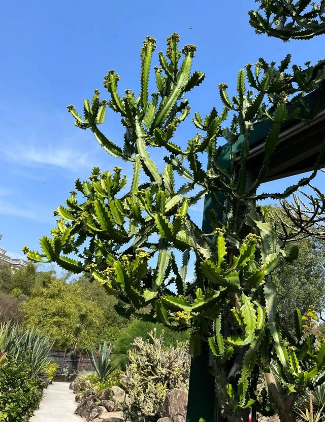 廣州華南植物園與大自然的邂逅