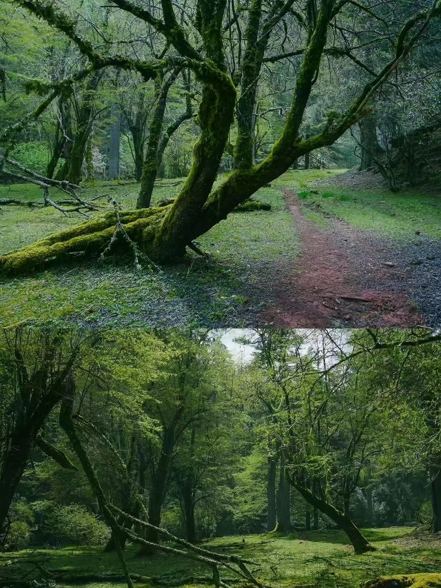 被嚴重遺忘的雲南古村,生活著白狼後裔~ 被嚴重遺忘的雲南古村,生活著白狼後裔~