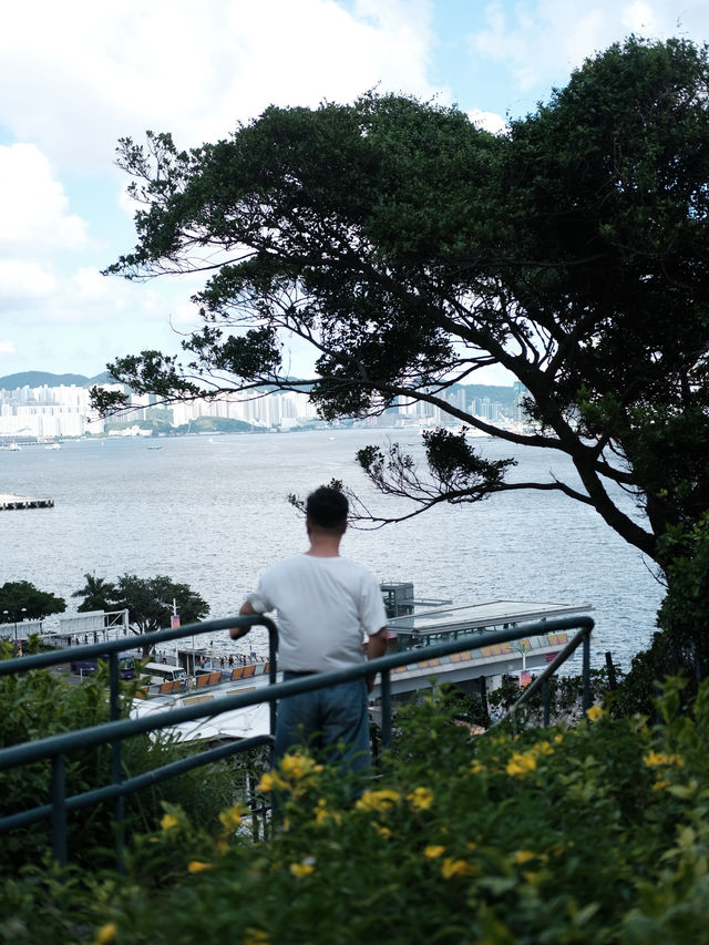 香港新晉網紅打卡地，訊號山花園漫步很chill