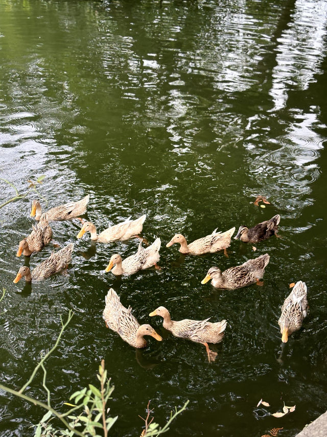 作為台州的園林之首