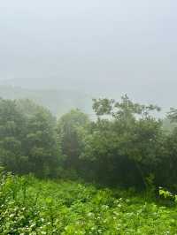 如果可以去旺山一定要雨徒