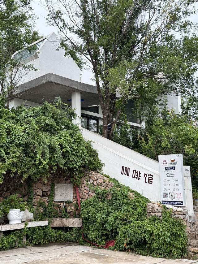 來日照除了可以住海邊住茶山也不錯
