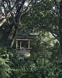 鵝嶺公園超絕打卡！！
