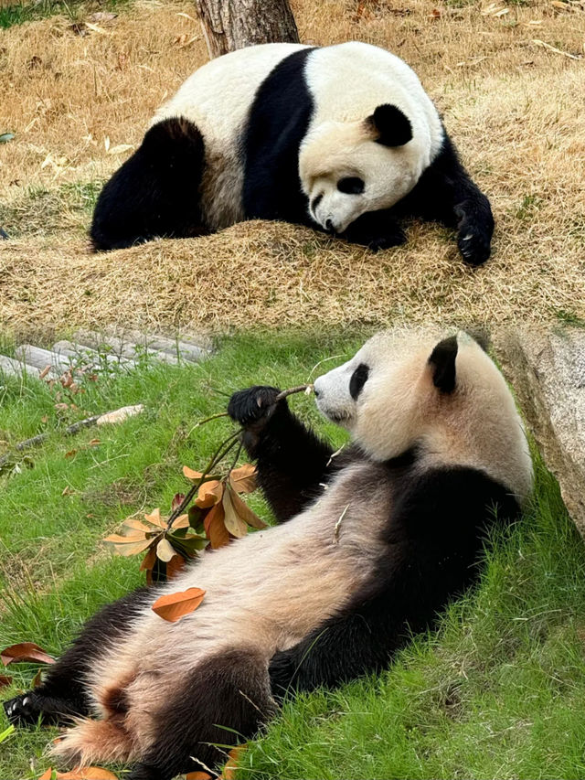 這是一個適合放鬆心情、享受小鎮生活的愜意地方