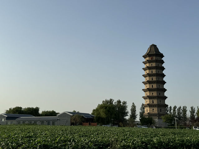 臨清舍利寶塔