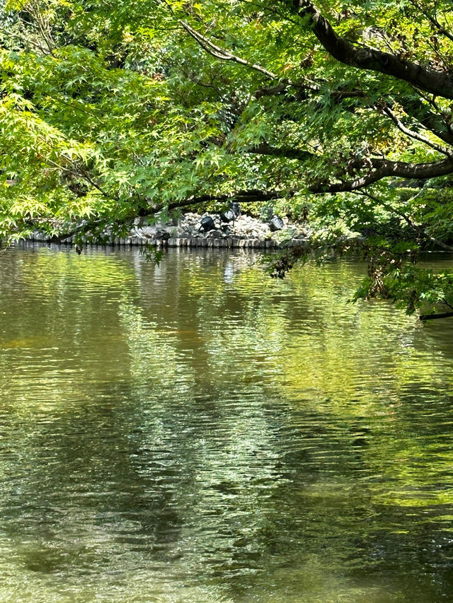 東京小眾景點|最詩意的八芳園